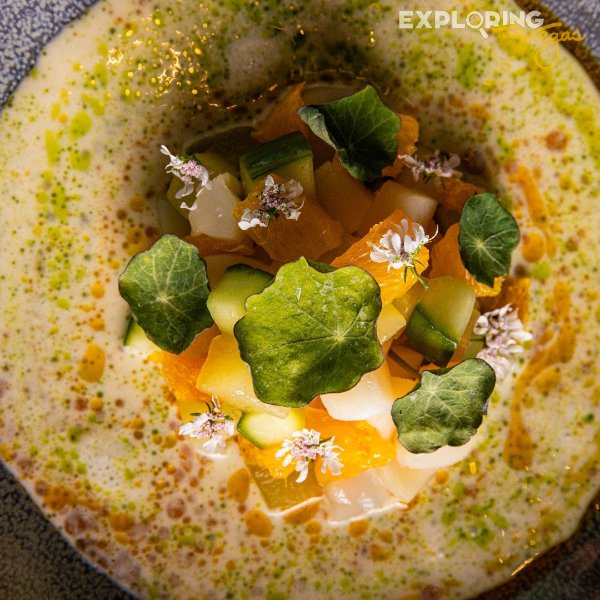scallop-ceviche