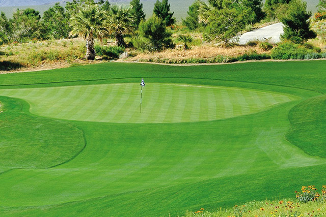 Primm Valley Lakes Las Vegas