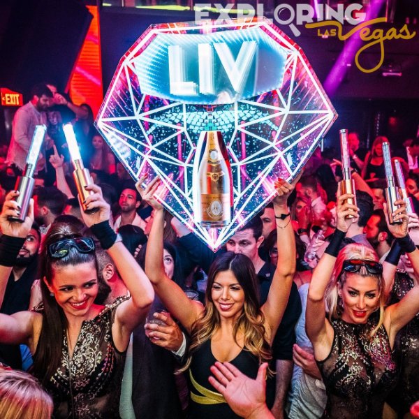 bachelor-party-dsplayjpg