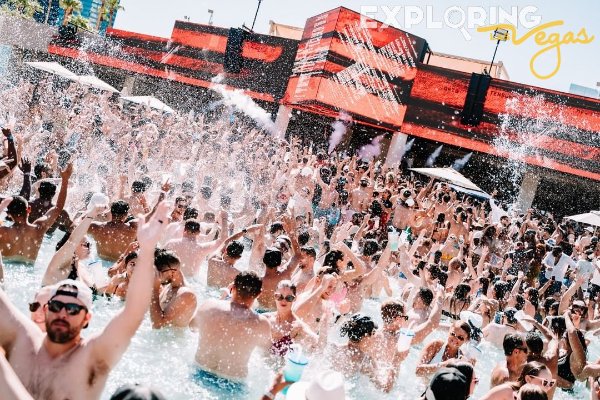 palm-tree-beach-club