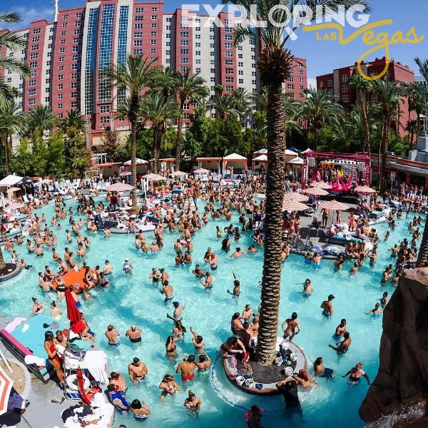 flamingo-pool-party