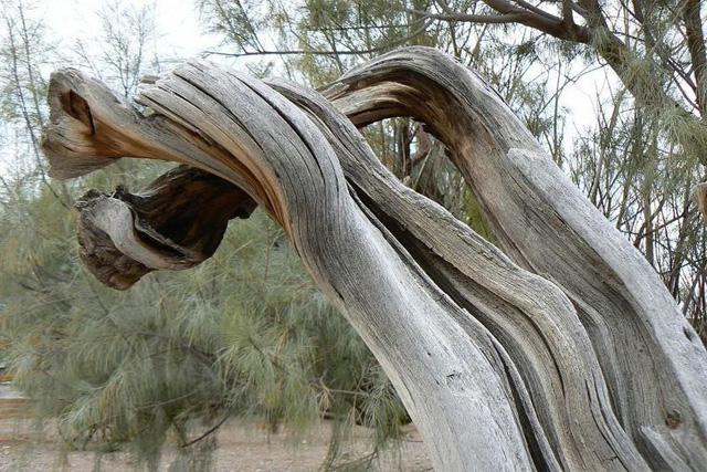 death-valley Las Vegas